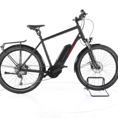 Diamant Zing+ Trekking E-Bike