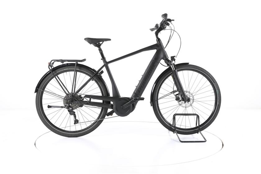 Diamant Mandara Deluxe+ Trekking E-Bike