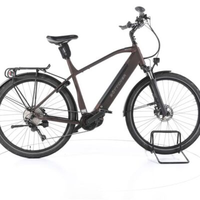 Böttcher Shark CX Trekking E-Bike