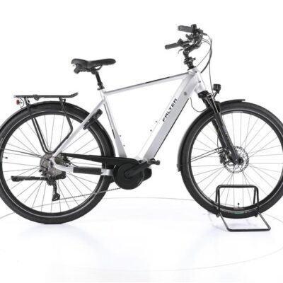 FALTER E9.8 Trekking E-Bike