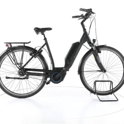 Gudereit EC-4 RT City E-Bike Tiefeinsteiger