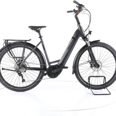 Pegasus Strong EVO 10 Trekking E-Bike Tiefeinsteiger