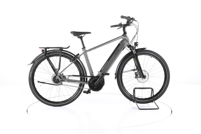 Raleigh Bristol XXL City E-Bike