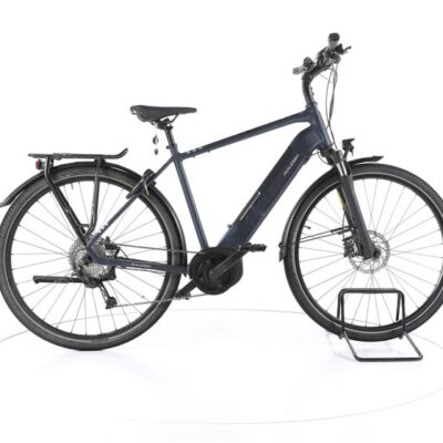 Raleigh Kent 9 Trekking E-Bike