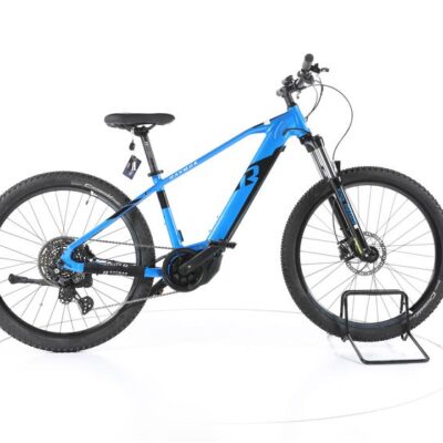 R Raymon HardRay E 6.0 E-Bike