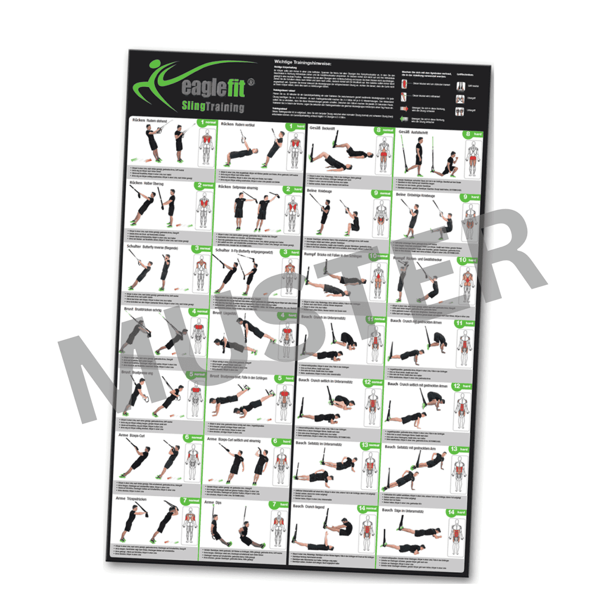 Sling-Trainer Übungsposter mit 28 Übungen