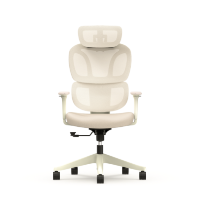 Bürostuhl mit frischem Design BS5