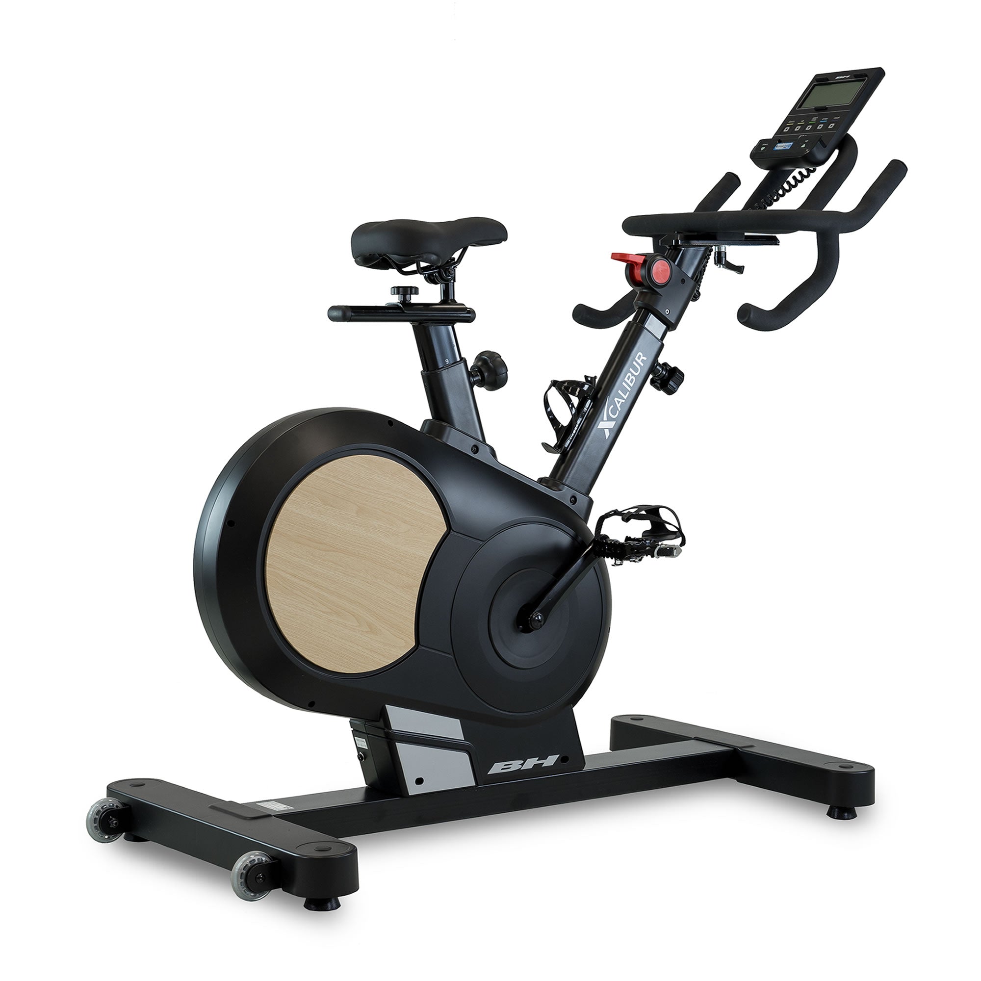 BH Fitness Xcalibur Magnetic Indoor Bike Eiche
