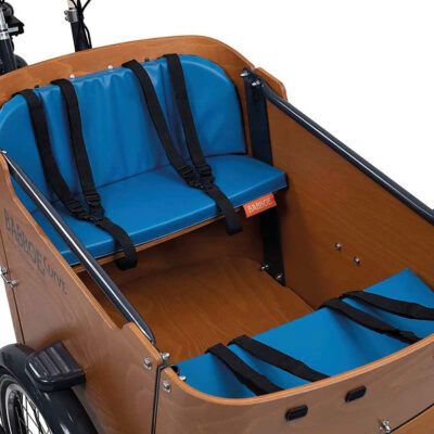 Babboe Pretty Petrol