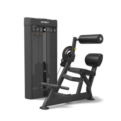Spirit Fitness Commercial SP-4609 Dual Station Bauch- und Rückentrainer