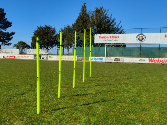 Lynxsport GmbH Höhenverstellbare Slalomstangen - 5er Set - mit Erdspieße