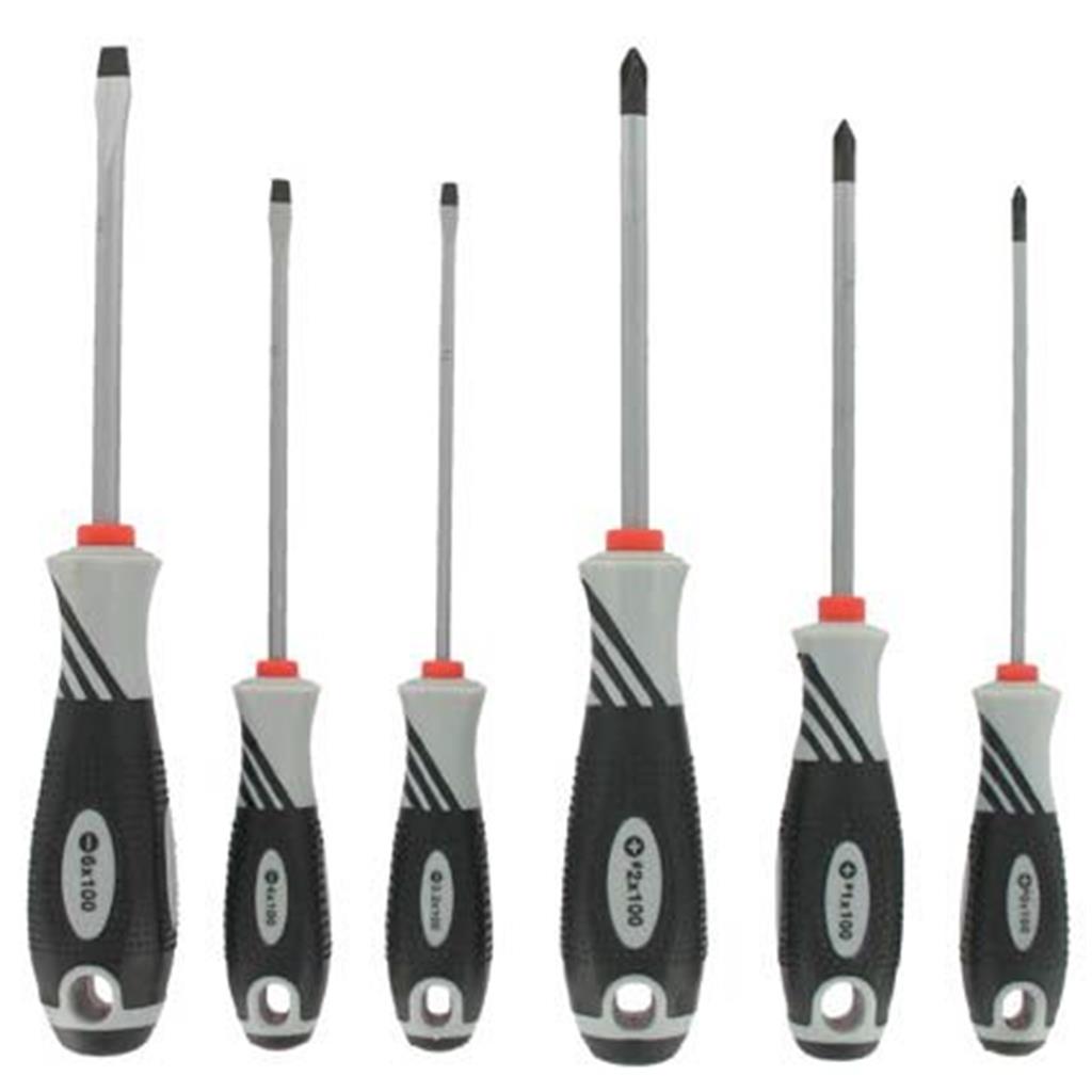 Var Satz 6 Profi Schraubenzieher