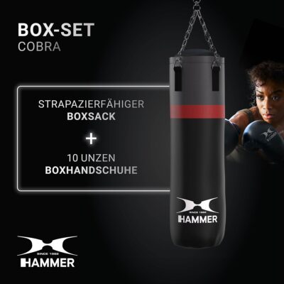 HAMMER BOXING Box-Set Cobra